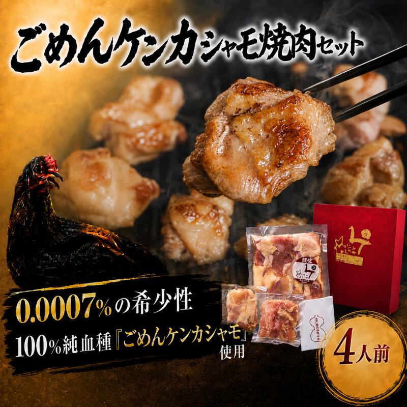 【ふるさと納税】 ごめんケンカシャモ焼肉セット 4人前 焼肉 焼肉セット 焼き肉 BBQ バーベキュー キャンプ アウトドア 冷凍 しゃも シャモ 軍鶏 国産鶏肉 チキン とりにく 鶏肉 国産鶏 おすすめ 純血種 大軍鶏 ギフト 贈答 企業組合ごめんシャモ研究会 高知県 南国市