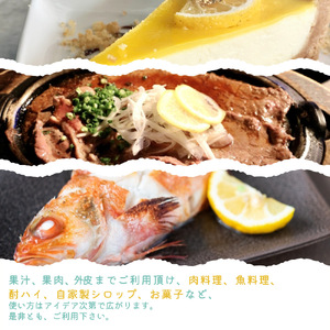 秀品　紀州有田産レモン　約2.5kg【予約】 レモン れもん 果物 柑橘【2027年3月上旬頃〜3月下旬頃に順次発送予定(お届け日指定不可)】【Z-uot815】