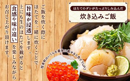 オホーツク枝幸産 旨みたっぷり冷凍ほたて貝柱1kg（30～70粒）【枝幸ほたて】高田商店 冷凍 貝柱 刺身 大 魚介 海 オホーツク 帆立 年越し 贈答 贈り物 ギフト 
