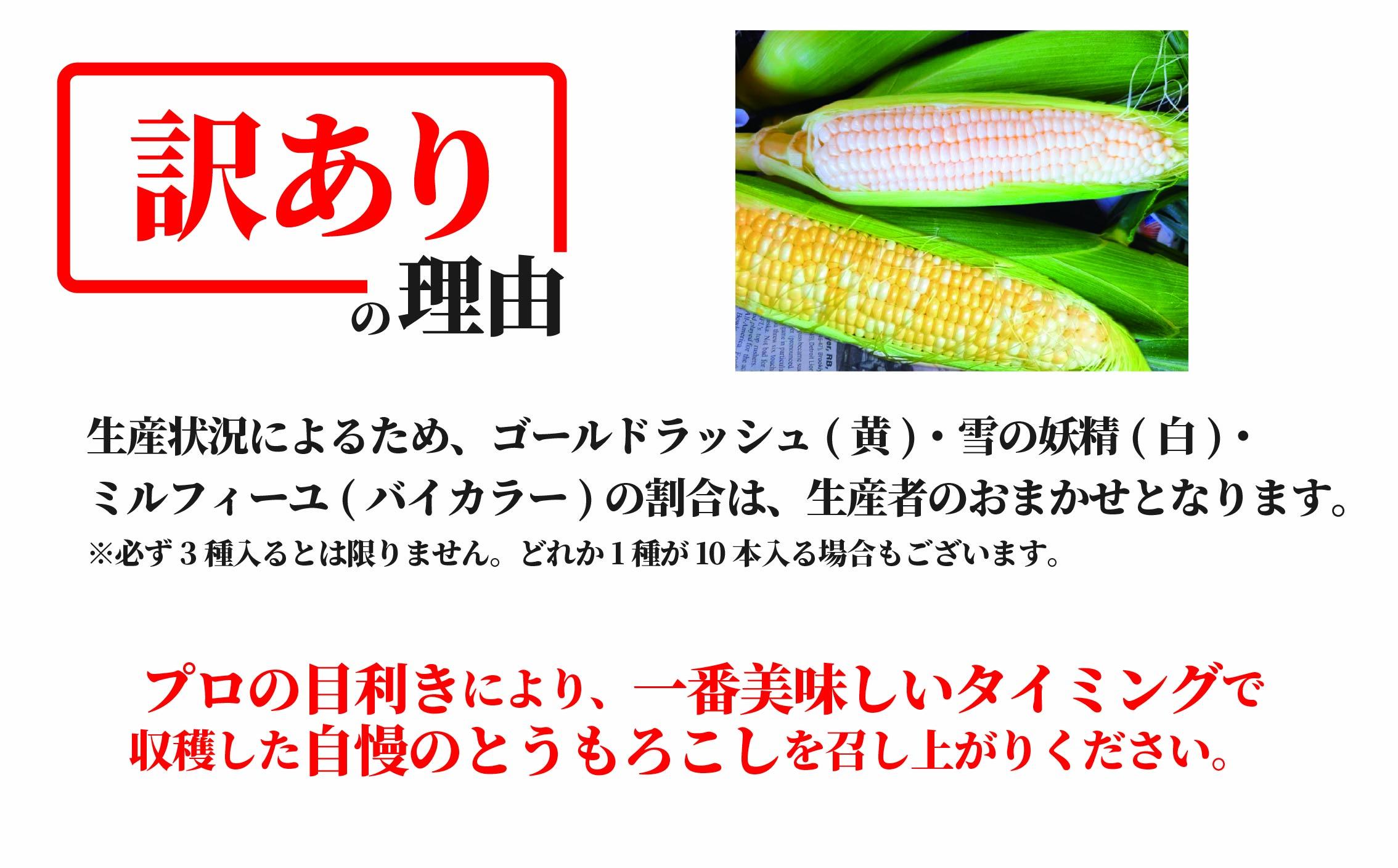 訳あり とうもろこし 計 10本 約 4 ～ 5kg おまかせ 雪の妖精 ミルフィーユ トウモロコシ 10000円 神奈川 湘南 藤沢 フロムベジ湘南