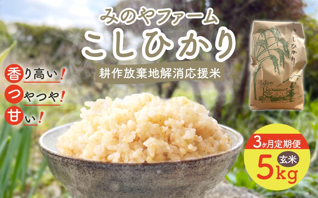 
                  【3ヶ月 定期便】令和８年産 新米 こしひかり　5ｋｇ（玄米） みのやファームの耕作放棄地解消応援米　【 コシヒカリ こしひかり おいしいお米 玄米 自然栽培 贈り物 ギフト 千葉県 御宿町 人気 おすすめ ランキング 】 ONJF012
                