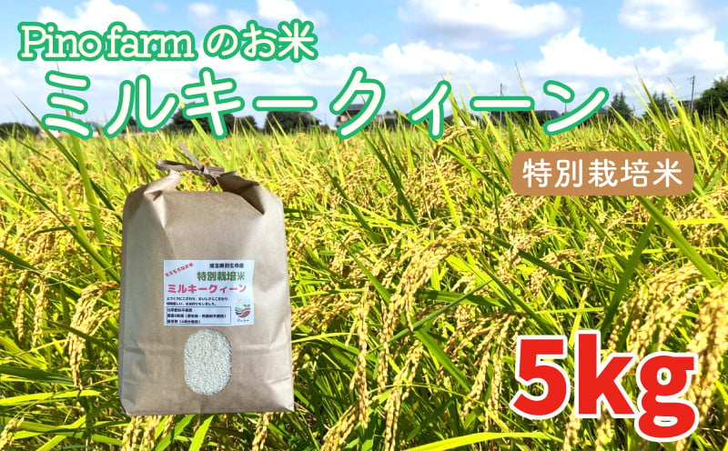 
            ミルキークイーン 5kg 令和6年 2024年 特別栽培米 pino farm ブランド米 お米 おこめ
          