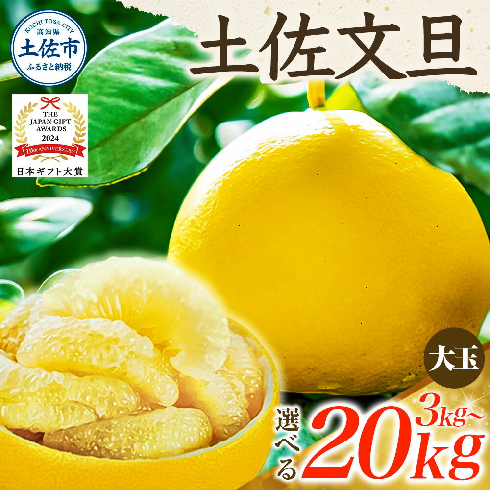 【ふるさと納税】【日本ギフト大賞2024受賞】【先行予約】文旦 大玉3kg～（3L～2L）2026年1月下旬より順次発送 文旦 みかん 柑橘 ぶんたん ブンタン 果物 フルーツ お取り寄せ おいしい 家庭用 贈答用 土佐市 高知 ふるさと納税 春 旬 返礼品 高知県 高知 7000円～
