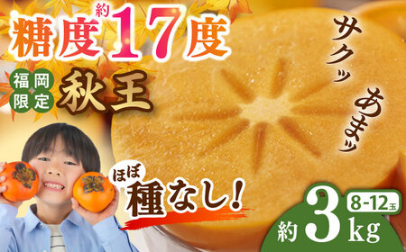 【2025年10月中旬より順次発送】福岡産ブランド 秋王柿 約3kg(8-12玉) 吉富町/南国フルーツ株式会社[BGAG016]