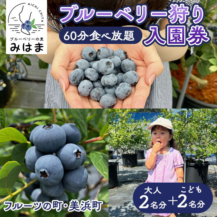 【ふるさと納税】【食べ放題！】ブルーベリ狩り入園券 大人2名分+子供2名分