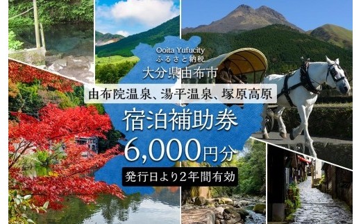 
                  【由布市（湯布院、由布院、湯平、塚原高原）】ふるさと納税宿泊補助券6,000円分【宿泊券 宿泊 旅行券 温泉 観光 旅行 ホテル 旅館 クーポン チケット トラベルクーポン トラベル ゆふいん 人気 おすすめ 大分県 由布市 AY001】
                