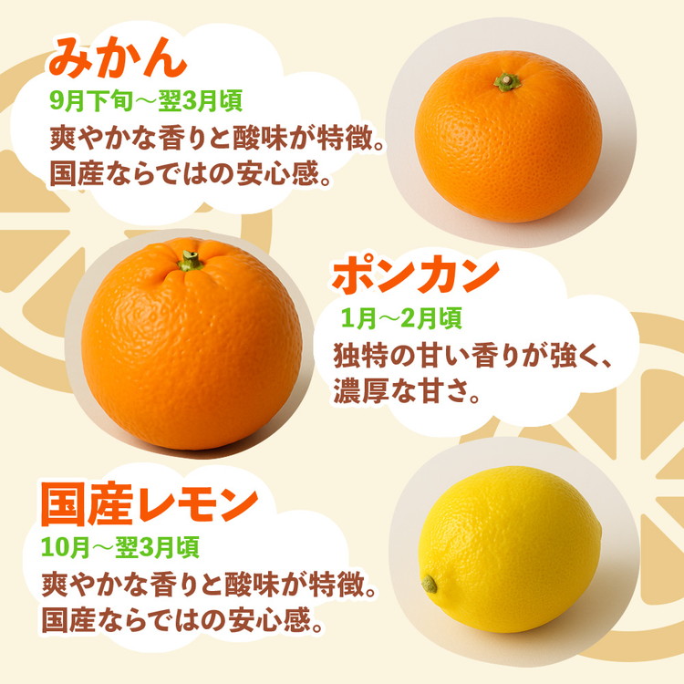 ＜1月より発送＞厳選 柑橘詰合せ2.5kg+250g（傷み補償分）◇【有田の春みかん詰め合わせ・フルーツ詰め合せ・オレンジつめあわせ】【光センサー選別】 ※北海道・沖縄・離島への配送不可 ※2026年