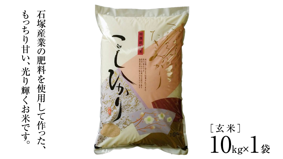 ≪ 令和7年度 新米 ≫ コシヒカリ 玄米10kg（10kg×1袋）（茨城県共通返礼品 かすみがうら市産） 新米 米 ごはん もっちり 甘い コメ お米 銘柄米 [EX012sa]