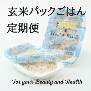 【定期便3ヶ月】あきたこまち酵素玄米パックご飯(乳酸菌入り) パックご飯 [D2302]