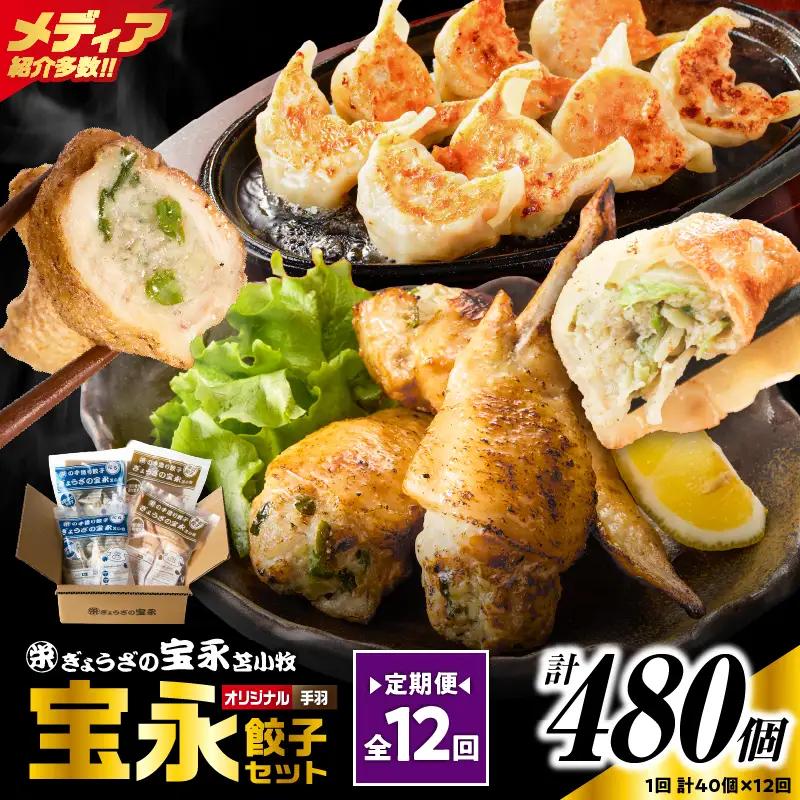【定期便・全12回 毎月】手包み餃子 ぎょうざの宝永 手羽餃子40個セット（宝永餃子15個入×2袋・手羽餃子5個入×2袋） T004-T06-02-05 定期便 定期 惣菜 総菜 餃子