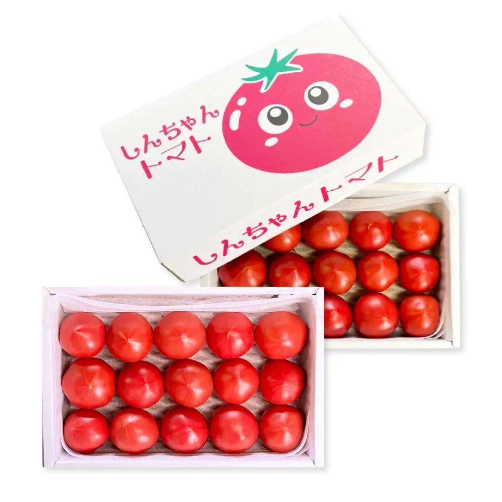 【先行予約】フルーツトマト しんちゃんトマト 糖度9度以上 約1.5kg（小?大玉サイズ：10?20個/750g×2箱） 高知県土佐市 【横山真吾】 [BQCG003]