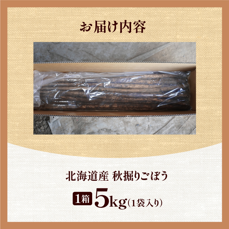 先行受付！2026年10月頃～発送開始！北海道十勝清水町産 秋堀り 新鮮 ごぼう！ 5kg 北海道産 ごぼう 土付ごぼう ゴボウ 根菜_S045-0003