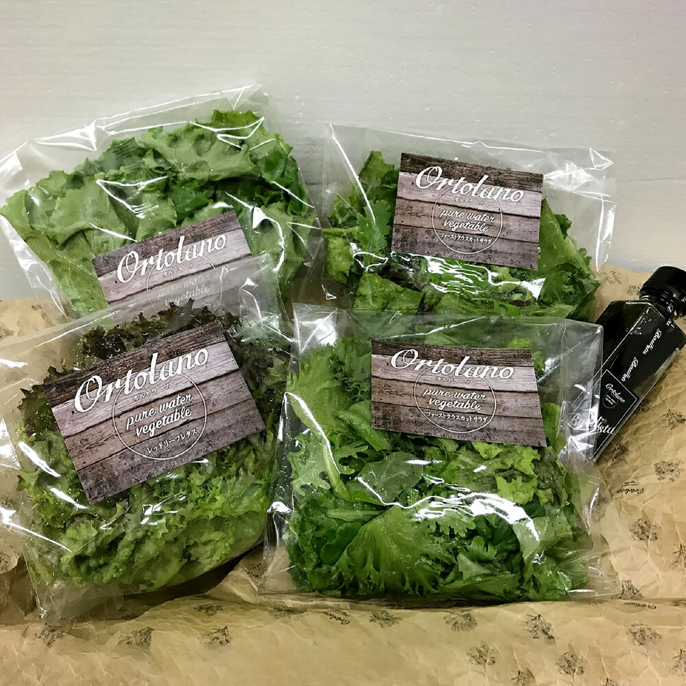 【ふるさと納税】＜選べる定期便＞【Ortolano】野菜 定期便 1ヶ月毎 3回 / 6回 / 12回 ファーストクラスカットサラダ おすすめ野菜 バジリスタイタリアンドレッシング サラダセット やさい サラダ バジル 調味料 冷蔵 岡山県 倉敷市 送料無料