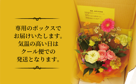 おまかせ 季節の花束 VOVO FLOWER 花 生花 花束 誕生日 記念日 プレゼント Flower フラワー 自宅用 ギフト 国産 愛媛 宇和島 K012-158002 花 フラワー 花 フラワー