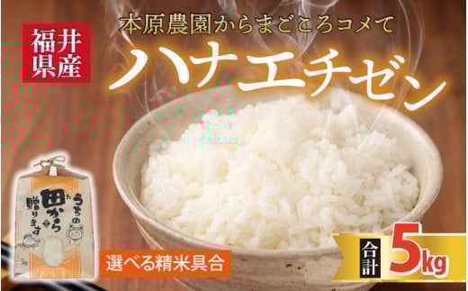【先行予約】【令和8年産・新米】 ハナエチゼン5kg × 1袋 ～本原農園からまごころコメて～（白米）【2026年9月上旬以降順次発送予定】 【お米 白米 玄米 はなえちぜん 5キロ 選べる 精米 ブランド米 ごはん ご飯 おいしい ふるさと納税米 産地直送】 [A-8933_01]