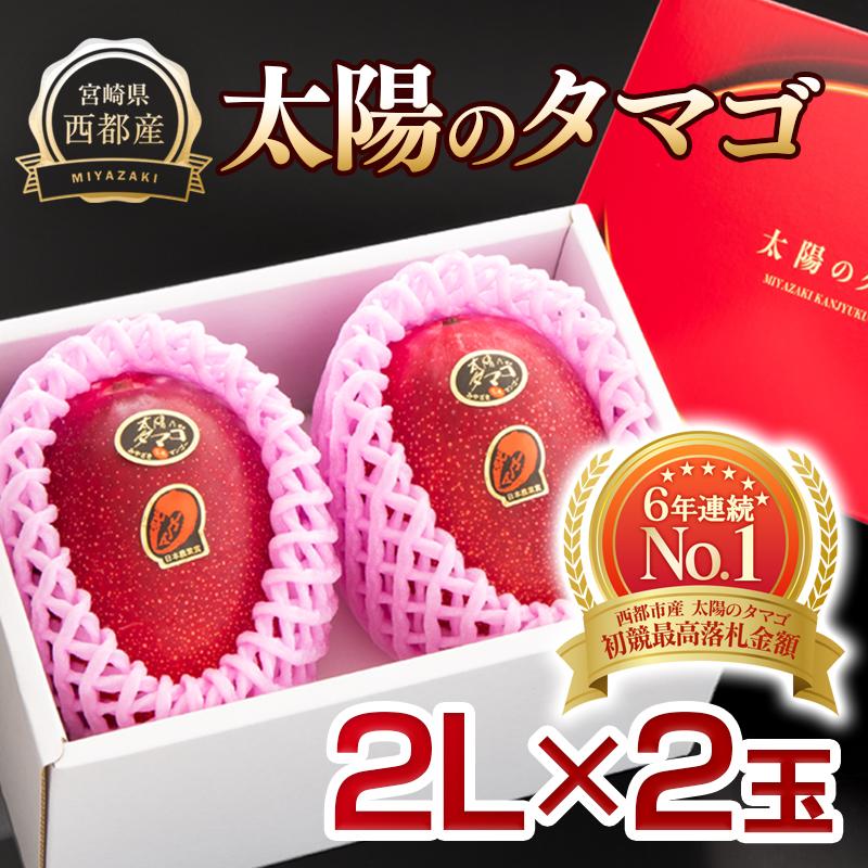 【先行予約】最高級完熟マンゴー『太陽のタマゴ』2Ｌ×2玉　西都市産　2026年発送＜2-94＞