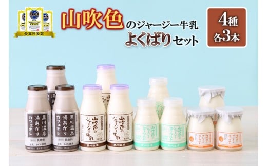 【山のいぶき】山吹色のジャージー牛乳 よくばりセット のむヨーグルト カフェオレ ヨーグルトざらめ 4種 各3本 計12本 乳脂肪分 5％以上 低温殺菌 素材の味 ジャージー牛乳 ジャージーヨーグルト 湯あがりカフェオレ プレーンヨーグルトざらめ ギフト 贈答 セット 小国ジャージー牛乳 FOODEX JAPAN ご当地牛乳グランプリ 最高金賞 ご当地ヨーグルトグランプリ 金賞 熊本 阿蘇 小国郷