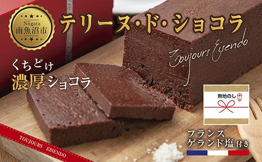 無地熨斗 テリーヌ・ド・ショコラ フランスゲランド塩付き 1本 テリーヌ ショコラ 濃厚 チョコレート チョコ 塩 洋菓子 焼き菓子 お菓子 スイーツ 贈り物 ギフト エイセンドウ 新潟県 南魚沼市