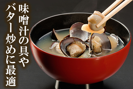涸沼産 大粒 冷凍 シジミ 3.2kg （400ｇ×8袋） しじみ 蜆 大和しじみ ヤマトシジミ 大玉 砂抜き済 冷凍 味噌汁 スープ 魚貝類 貝 オルニチン コハク酸 小分け