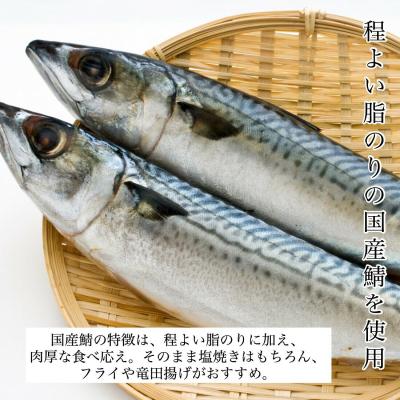 ふるさと納税 小松市 国産鯖の切り身 甘塩仕立て 10切れセット 小分け 冷凍サバ 骨取りさば |  | 01