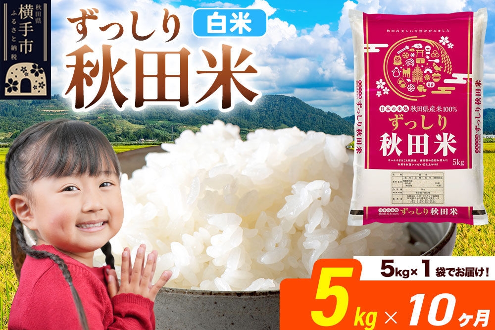 米《定期便10ヶ月》秋田県 横手市産 ブレンド米 令和8年産【白米】5kg（5kg×1袋） [米 お米 こめ 白米 精米 ブレンド米 小分け ご飯 ごはん 秋田県産 横手市]