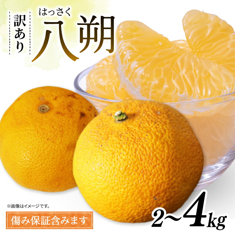 【ふるさと納税】 訳あり 八朔 約2kg 約4kg はっさく 【3月～順次発送】 南知多町産 ＜2026年発送先行予約＞ 柑橘 果物 くだもの 国産 果実 フルーツ 新鮮 人気 おすすめ 愛知県 南知多町 ふるさと納税みかん 愛知県産 南知多町産 【配送不可地域：北海道・沖縄・離島】