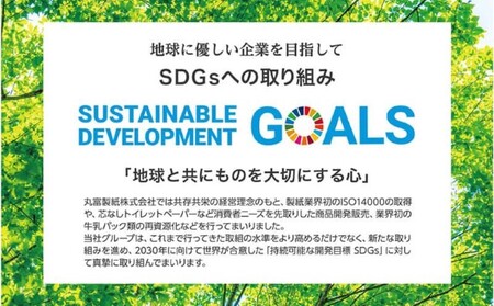 トイレットペーパー ダブル 8パック 12ロール  計 96ロール ラコシアプリント ローズ  再生紙 SDGs 日用品 備蓄 防災 消耗品 生活用品 沼津（ ﾄｲﾚｯﾄﾍﾟｰﾊﾟｰ 日用品 ﾄｲﾚｯ