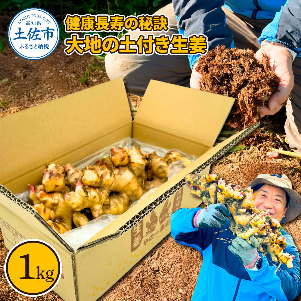 【ふるさと納税】健康長寿の秘訣 大地の土付き生姜1kg 国産 生ショウガ しょうが ショウガ ジンジャー ジンジャーエール ショウガシロップ 生姜焼き 薬味 野菜 料理 健康 生姜湯 新鮮 高知県 土佐市 返礼品 ランキンング 高知県 土佐市 こうち 返礼品