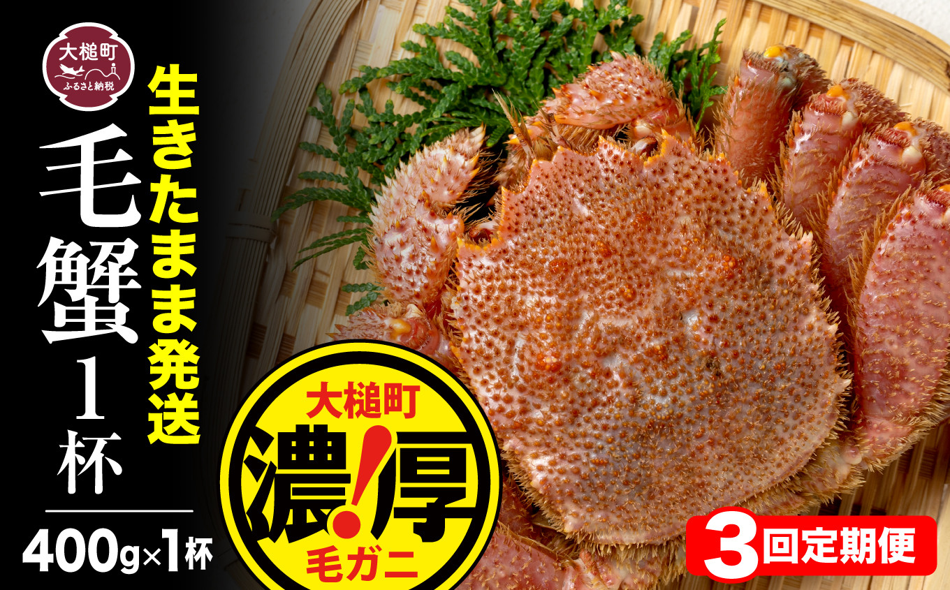
                  【令和9年発送先行予約】【3回定期便】三陸産！活毛ガニ 400g相当×1杯【08】【2027年2月～4月発送】
                
