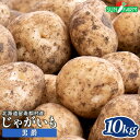 【ふるさと納税】じゃがいも 男爵 10kg いも おいも 芋 イモ ジャガイモ ポテト だんしゃく オンライン 申請 ふるさと納税 北海道 留寿都 野菜 根菜 産地直送 新鮮 採れたて ポテトサラダ コロッケ マッシュポテト 10キロ 留寿都村【24015】