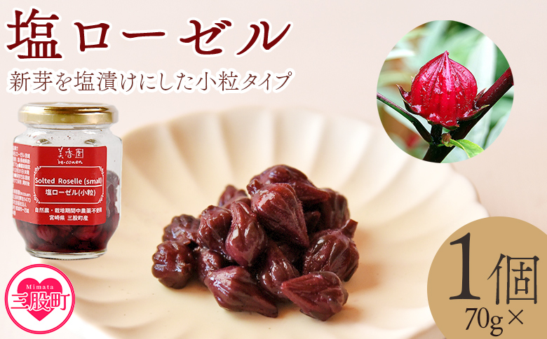 ＜塩ローゼル 【小粒】70g＞ 国産ハーブ 香りや風味が豊か しそ風味 梅風味 混ぜご飯 箸休め 薬味 漬物 和食 和風 おにぎりの具 ごはん ご飯 パン パスタ サラダ 調味料 塩漬け 宮崎県 三股町【MI680-bi】【美香園】