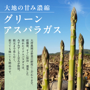 【大坪農園】≪2026年 先行予約≫ 「2L採れたてアスパラ」＆「トノトの白 2024」ペアリングセット