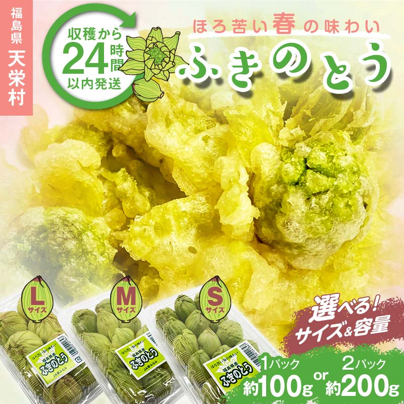 【ふるさと納税】【選べるサイズ・容量】収穫から24時間以内に発送！ほろ苦い春の味わい「ふきのとう」S・M・Lサイズ 1パック100g・2パック200g 野菜 食品 F21T-346var