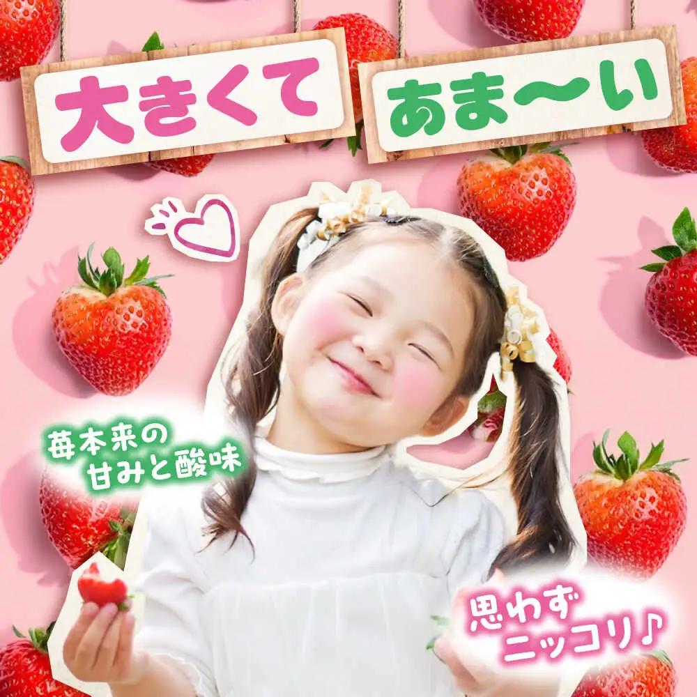 【2026年1月以降順次発送】こだわりの紅ほっぺ 280g 4パック[BAFN001]紅ほっぺ