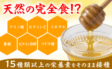 【先行受付 令和6年7月より発送】国産巣みつ　300g　広川町 / 株式会社九州蜂の子本舗[AFAI004]