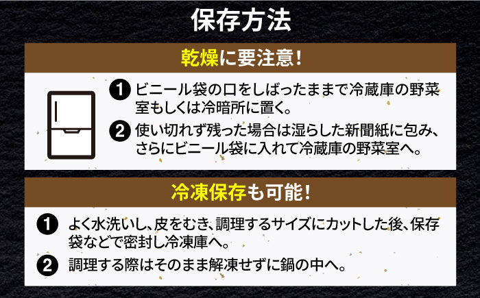 【R7年10月以降発送】 白石町産 泥付きれんこん （4kg） 【佐賀県農業協同組合】蓮根 [IAK015]