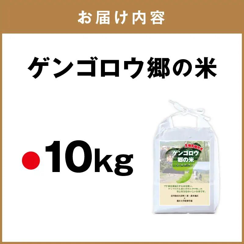 米 新米 2025年産 京丹後産生物多様性米コシヒカリ 10kg