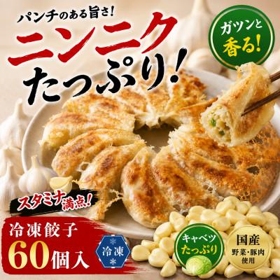 ふるさと納税 磐田市 餃子のまるかわ 冷凍生餃子 餃子1500g |  | 01