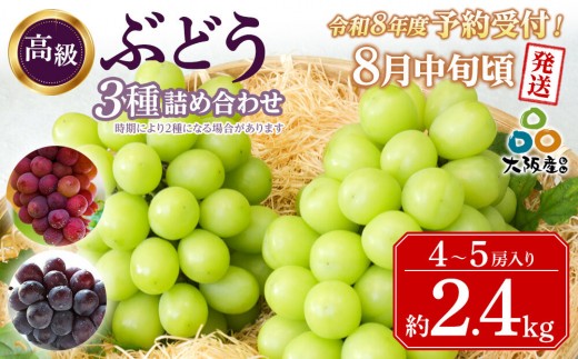 
                  ＜2026年 先行受付 8月中旬発送＞【貝塚市産】高級ぶどう３種詰合せ４～５房入り 約2.4kg | ピオーネ・ブラックビート・サニールージュ・グロースクローネの中から組み合わせ
                