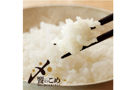 米 令和5年 石川米こしひかり【穂立】20kg （10kg ×2袋）[中橋商事 饗のこめ (あえのこめ) 石川県 宝達志水町 38600894] コシヒカリ お米 コメ 白米 精米 令和5年産 おこめ