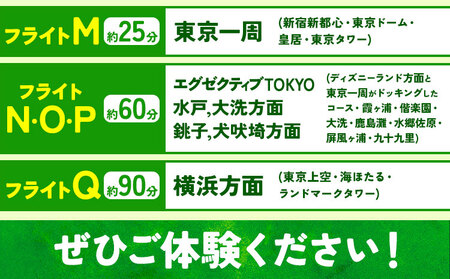セスナ機遊覧飛行体験 ペア フライトH・I（約35分コース） 新中央航空株式会社《30日以内に出荷予定(土日祝除く)》茨城県 河内町 セスナ 飛行体験