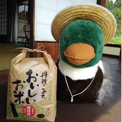 ふるさと納税 飯南町 カモしゃん米　玄米5kg |  | 02
