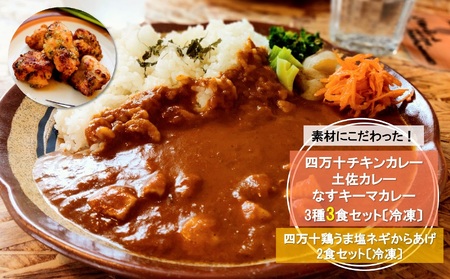 素材にこだわった！ スパイス カレー ＜ 四万十 チキン ・土佐・なす キーマ （3種3食）＞と 四万十 鶏 うま塩 ネギ からあげ（2食） セット 〔冷凍〕［1625-2］
