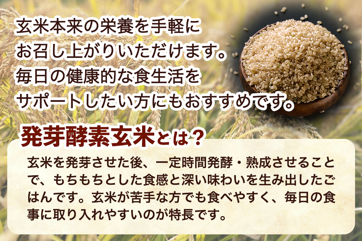 青森県産玄米 藤農園の美食米 発芽酵素玄米ごはん (1食125g×6パック 計750g)｜青森県産 国産 つがる市 藤農園 玄米 米 お米 はれわたり 発芽玄米 玄米ごはん パックごはん レトルトごは