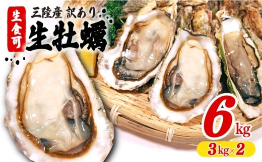 【スピード発送】 訳あり 生食 殻付き 牡蠣 6kg(3kg×2) かき カキ kaki 牡蠣 冷凍 岩手県産 殻付き牡蠣 生食 訳あり わけあり 大きさ不揃い 不揃い 三陸 三陸産 株式会社國洋 すぐ 届く スピード 配送 岩手県 大船渡市