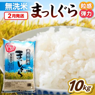 ふるさと納税 五所川原市 【2月発送】無洗米 10kg 青森県産 まっしぐら 令和7年産米(精米)