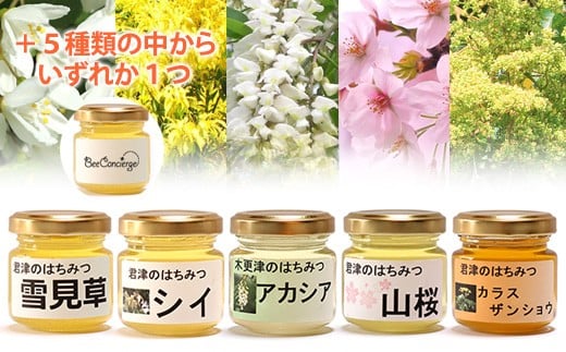 
国産 はちみつ ５種 ６瓶 食べ比べセット 養蜂家 齊藤兄弟 Bee concierge ビーコンシェルジュ
