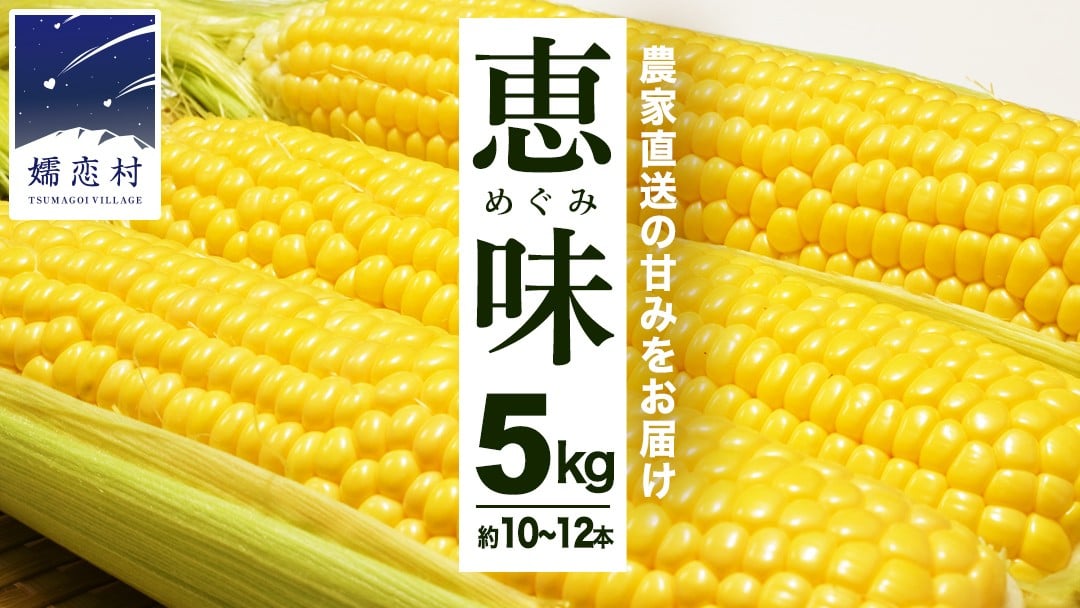
                  《発送時期選べる》 甘～いトウモロコシ 恵味 5kg 約10～12本 とうもろこし 産地直送 羽生田売店 期間限定 先行予約 人気 朝採り お取り寄せ 関東 群馬 先行受付  [AL005tu00] 
                
