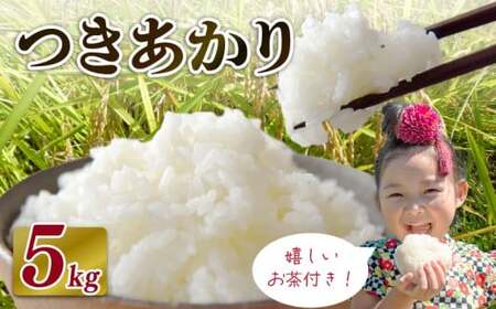 【2026年11月発送】 お米 つきあかり 米 5kg お茶 セット つきあかり 