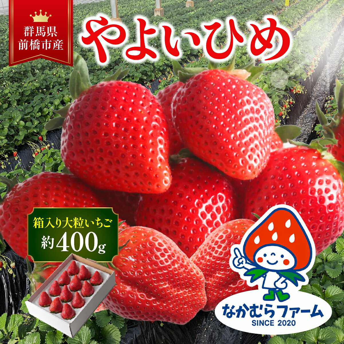 【ふるさと納税】いちご『やよいひめ』約400g　【群馬県いちご品評会入賞！】